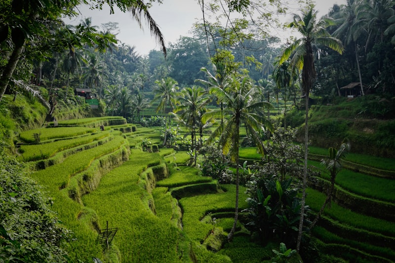 Indonesia Temples